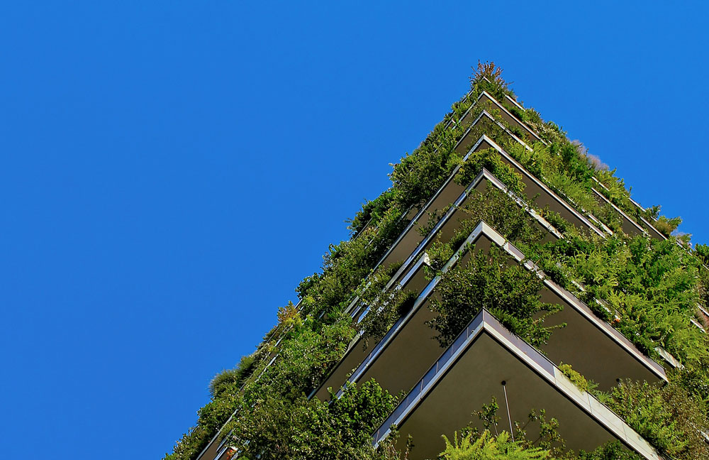 Geographic redistribution and biodiversity due to remote work.